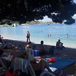 Daire Bernarda Makarska
