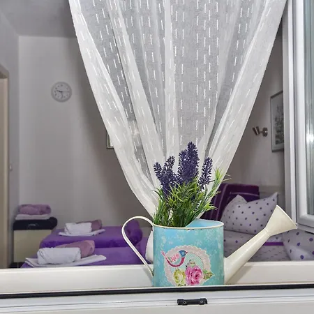 Daire Bernarda Makarska